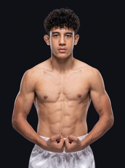 Samir Naser Ahmad