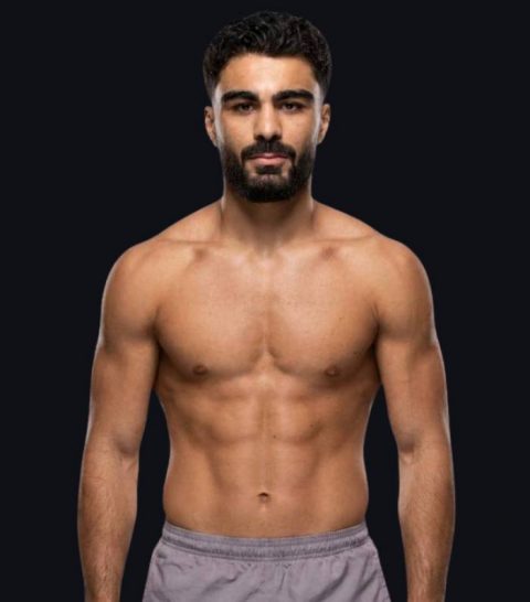 Wael Abd Ali